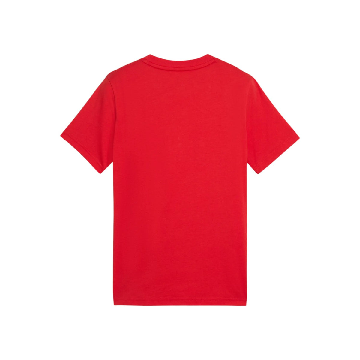 PUMASS25/quality-sport-t-shirt-puma-684907-11-2.jpg