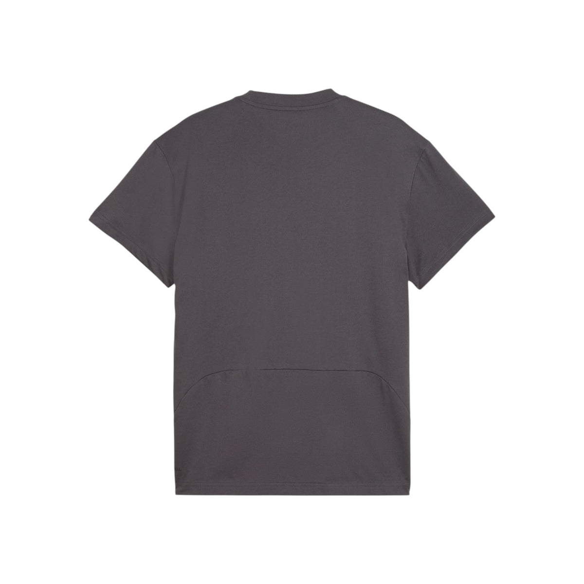 PUMAFW26/quality-sport-t-shirt-puma-693944-34-1.jpg