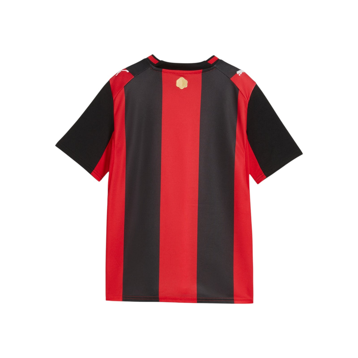 PUMAFW26/quality-sport-t-shirt-puma-784124-01-1.jpg
