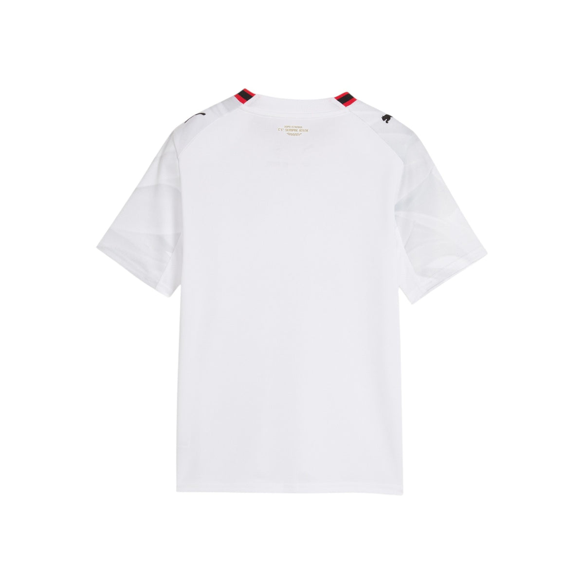 PUMAFW26/quality-sport-t-shirt-puma-784133-02-1.jpg