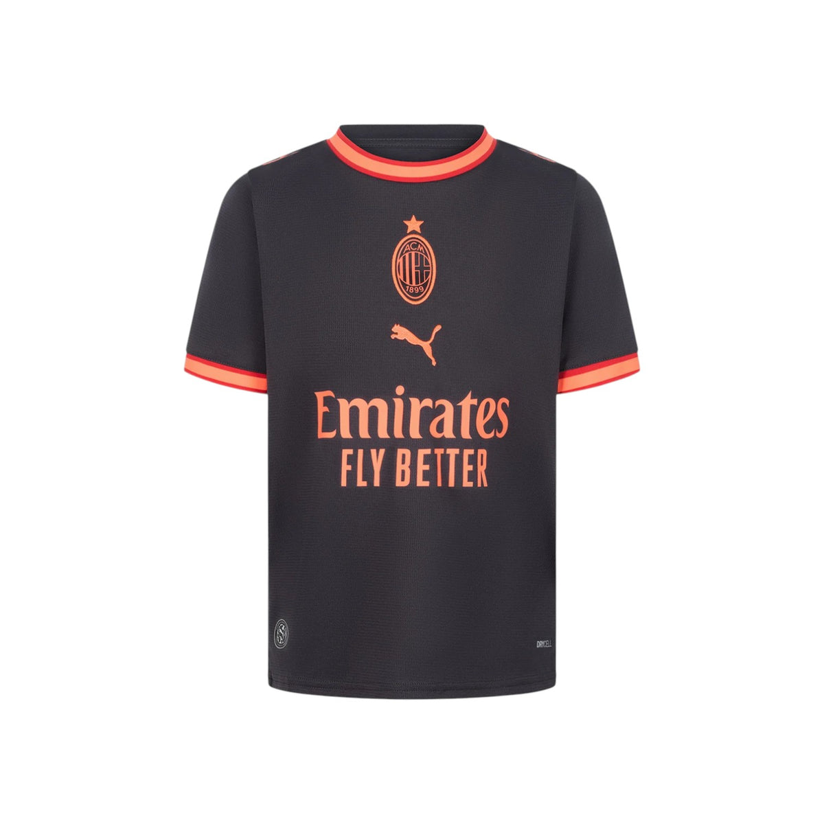 PUMAFW26/quality-sport-t-shirt-puma-784140-03-1.jpg
