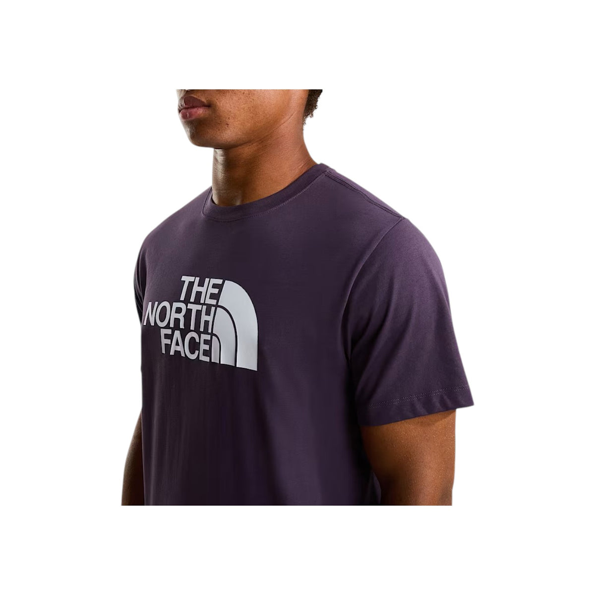 THENORTHFACESS26/quality-sport-t-shirt-the-north-face-NF0A8B6JG5O1-3.jpg