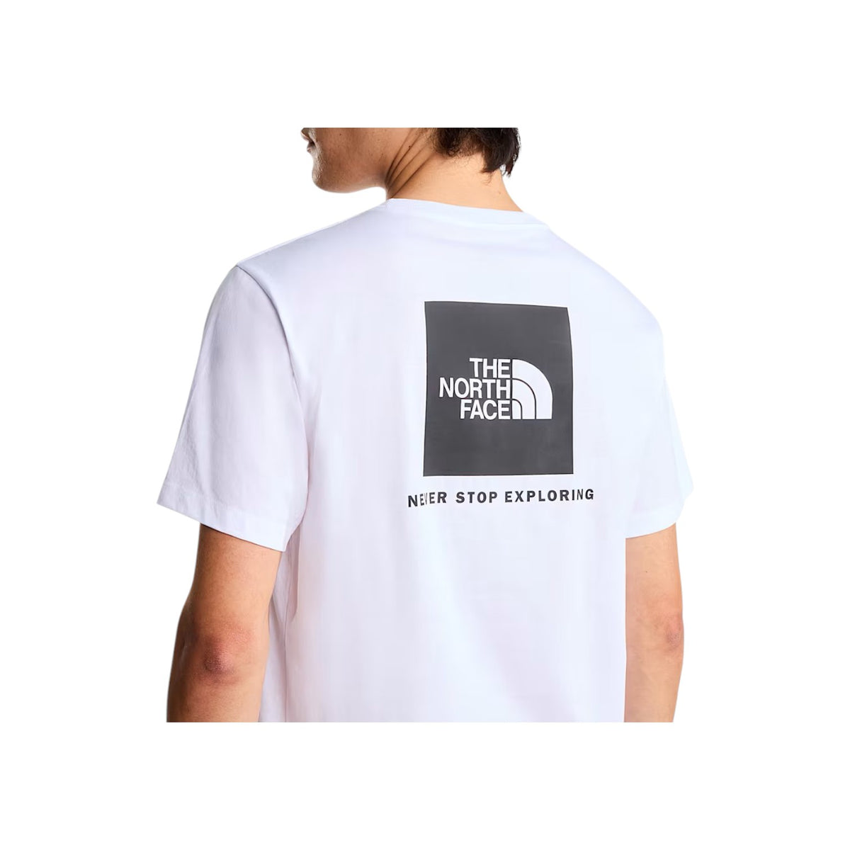 THENORTHFACESS26/quality-sport-t-shirt-the-north-face-NF0A8B6KFN41-3.jpg
