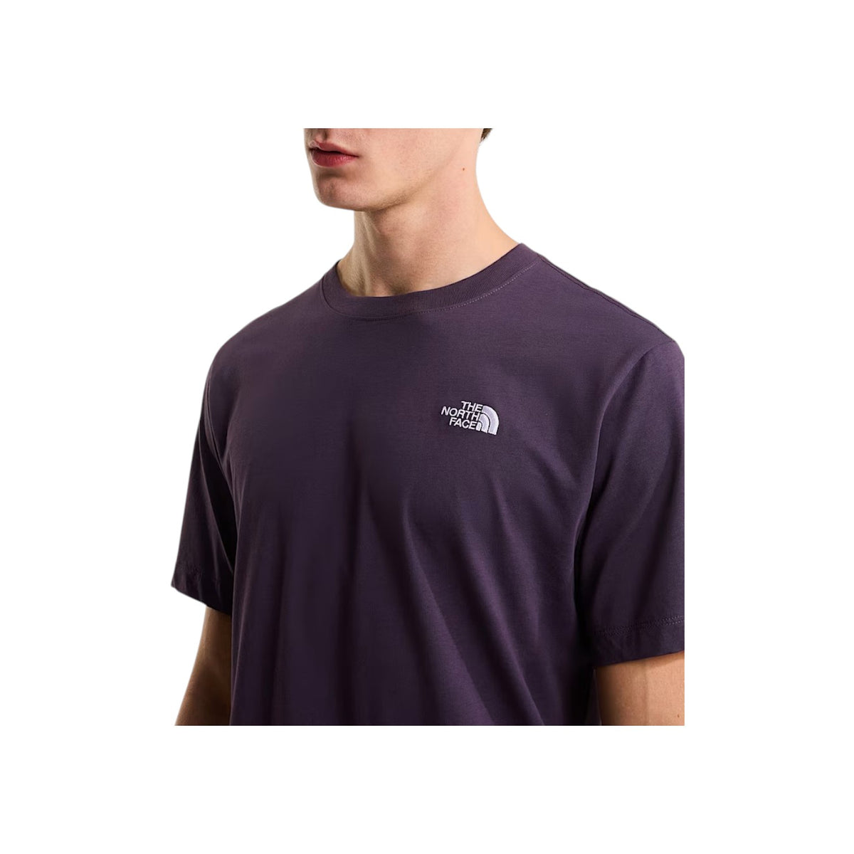 THENORTHFACESS26/quality-sport-t-shirt-the-north-face-NF0A8CZ2G5O1-3.jpg