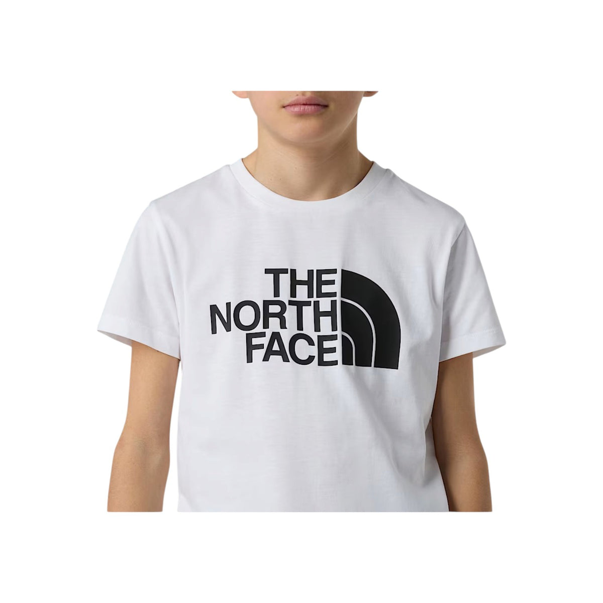 THENORTHFACEFW26/quality-sport-t-shirt-the-north-face-NF0A8CZ8FN41-3.jpg