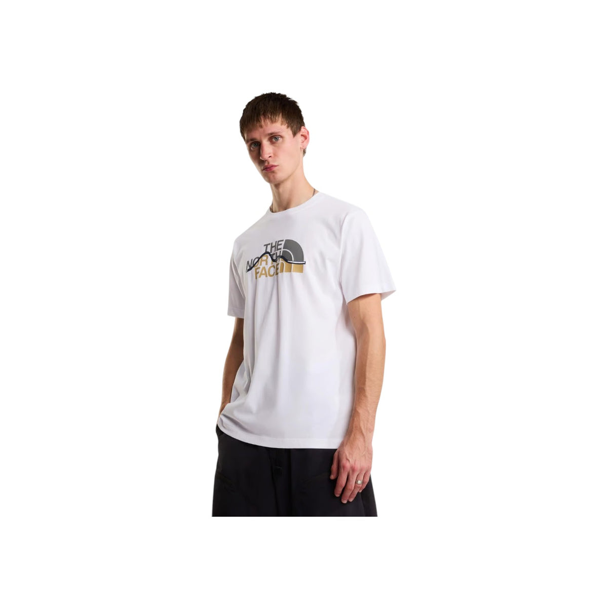 THENORTHFACESS26/quality-sport-t-shirt-the-north-face-NF0A8GUXFN41-3.jpg